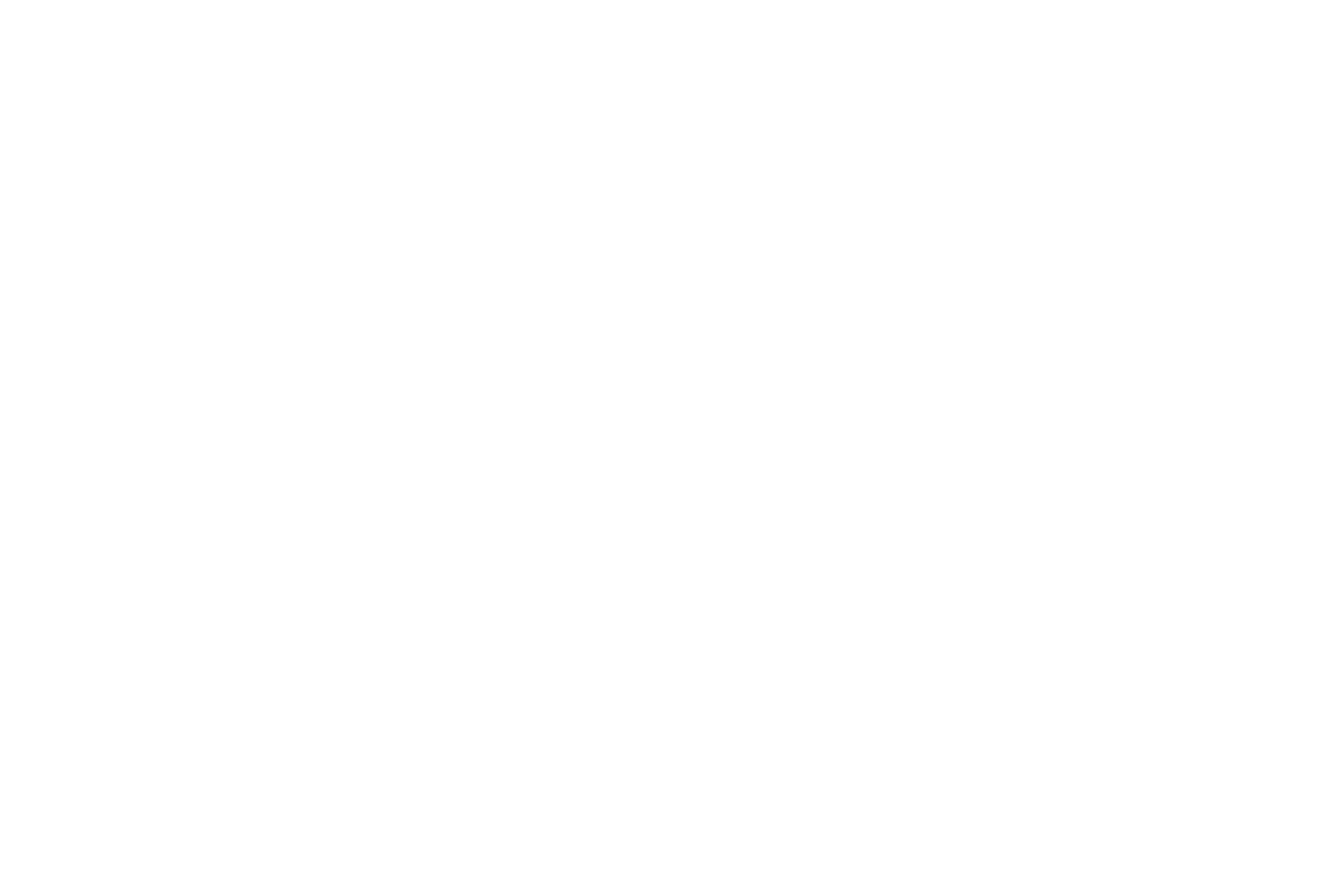 GP Multimedia